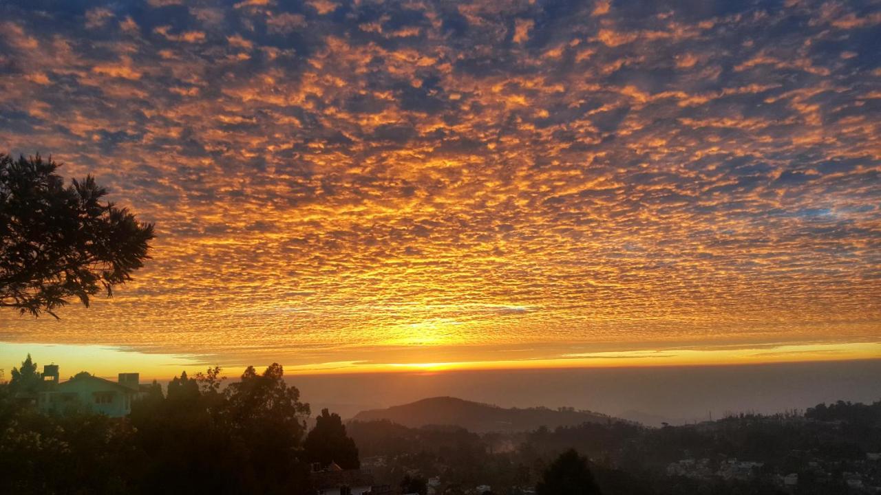 Cloudwalks Kodaikanal Eksteriør bilde